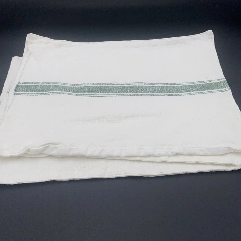 Southern Living Green Ivory Placemats Cotton Set 6 14